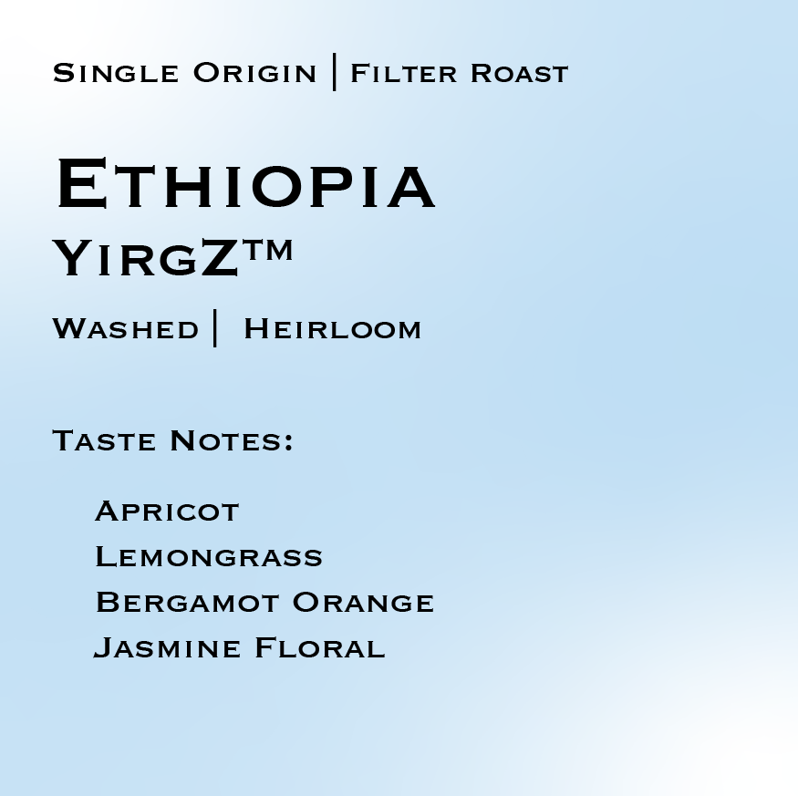 ETHIOPIA | YirgZ Washed