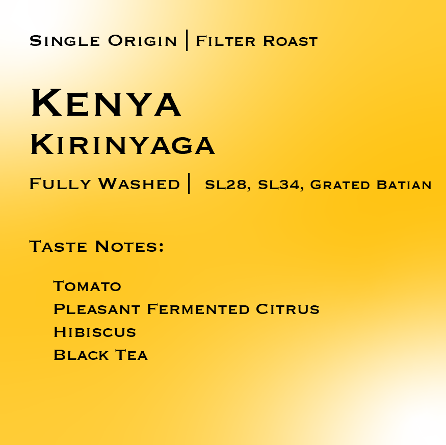KENYA | Kirinyaga AA