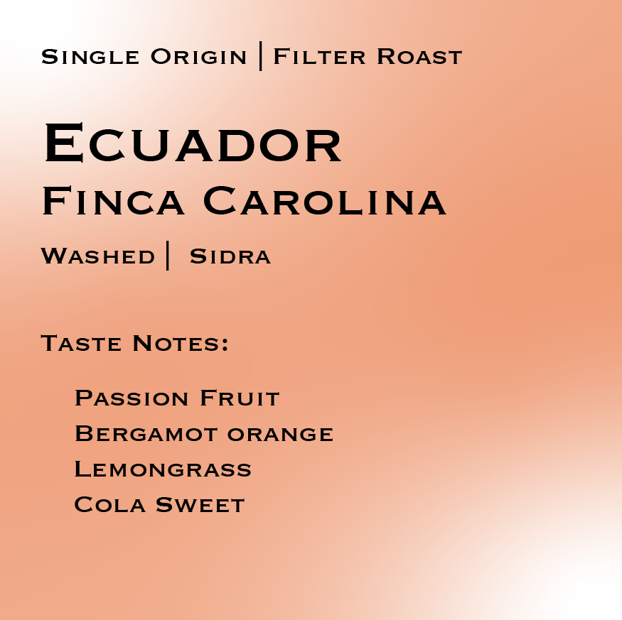 ECUADOR | Finca Carolina Sidra