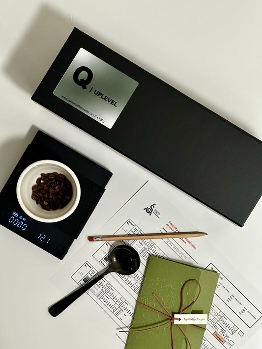 Q Pro UPLEVEL | Professional UPLEVEL Set