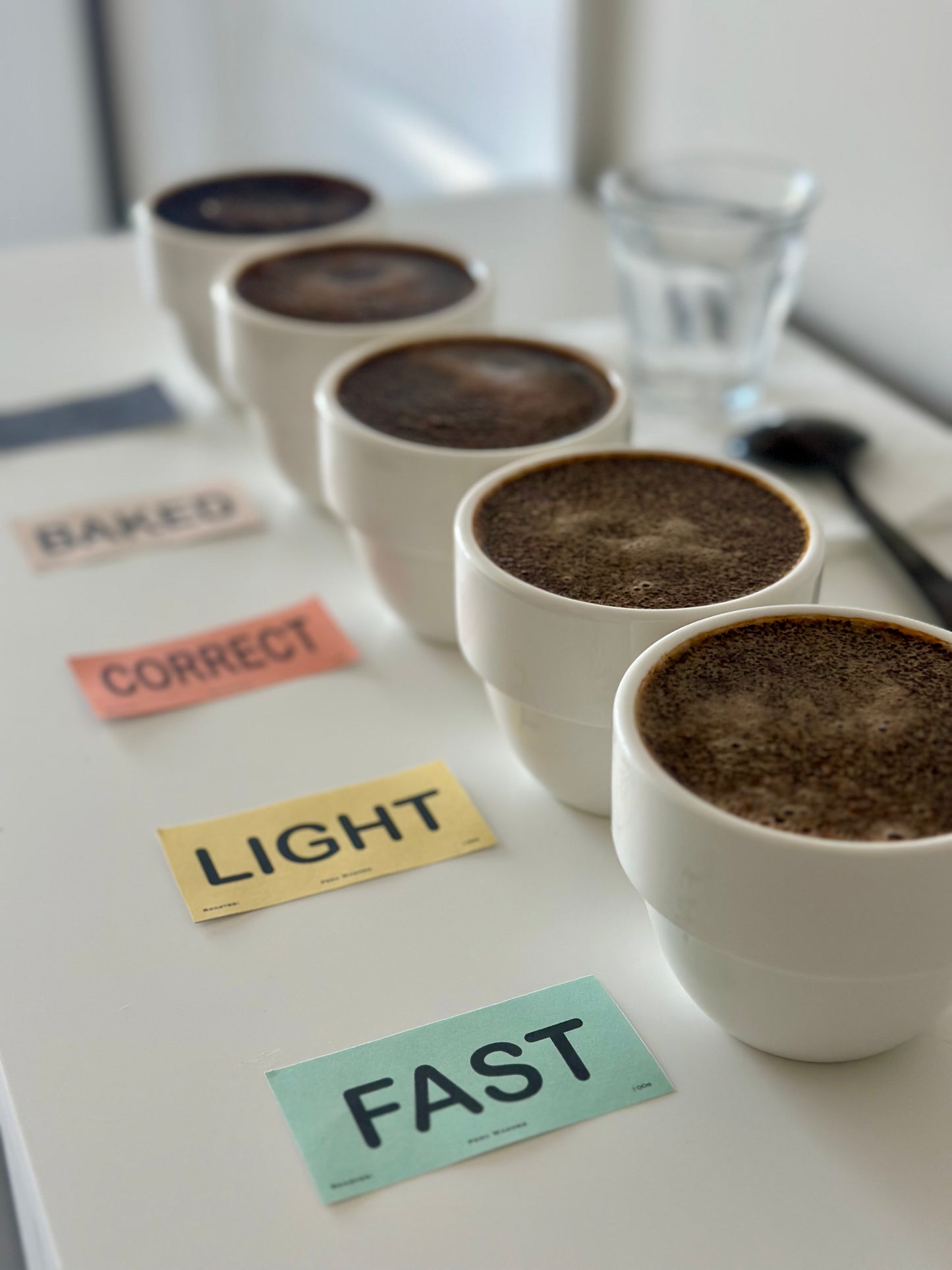 TRAINING KIT | Roast Identification Kit