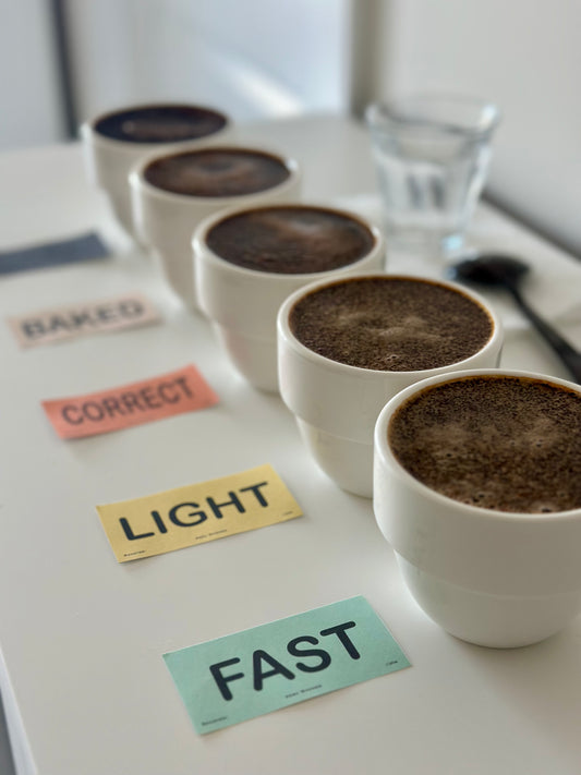TRAINING KIT | Roast Identification Kit