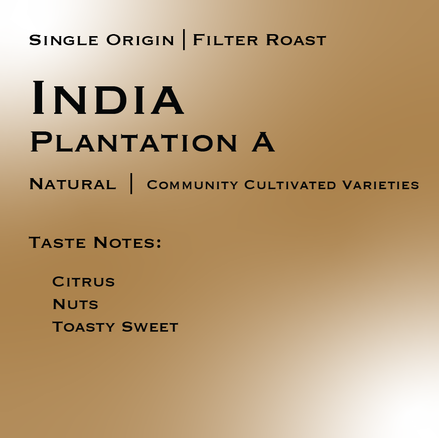 INDIA | Plantation A
