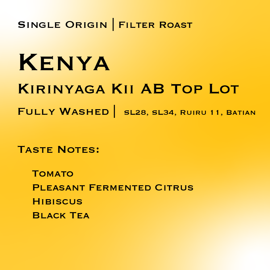 KENYA | Kirinyaga Kii AB Top Lot