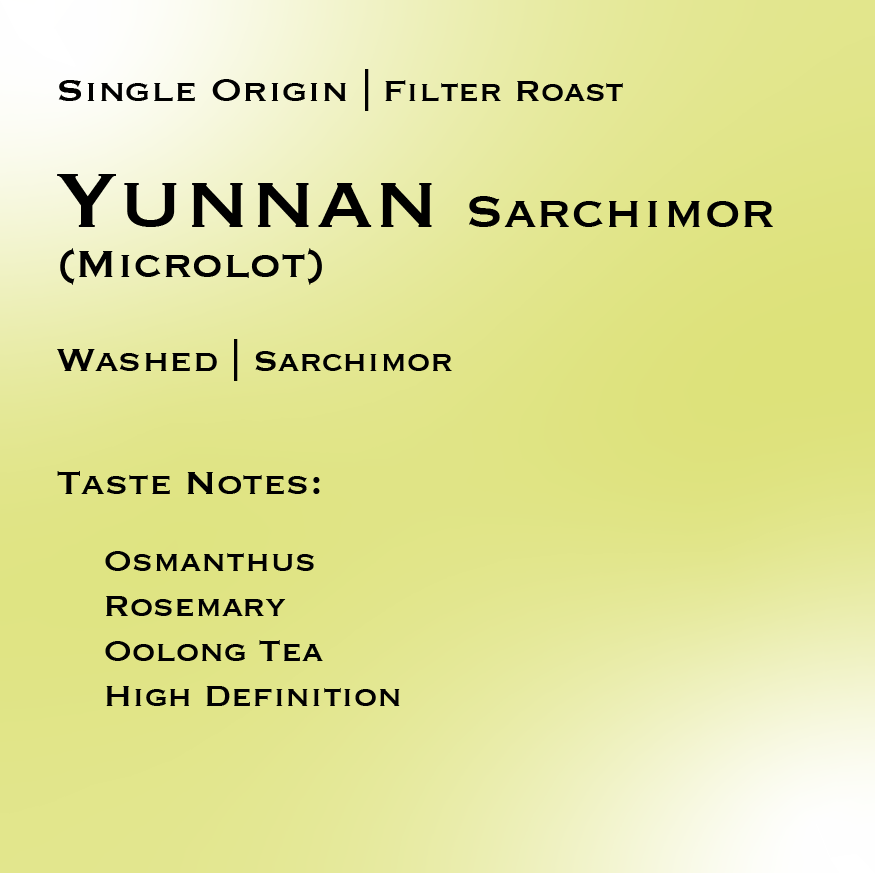 YUNNAN | Sarchimor Washed